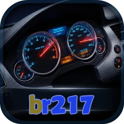 br217