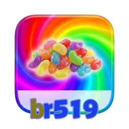 br519