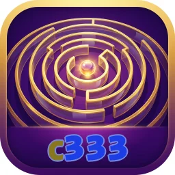 c333