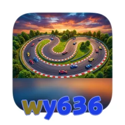wy636